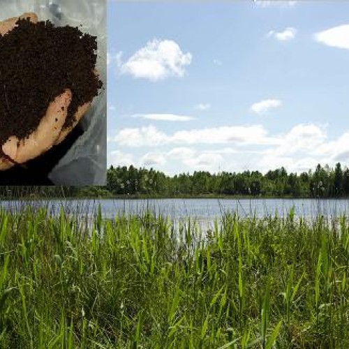 Organic gertilizer + soil condition